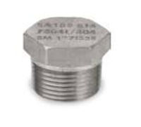Picture of ½ inch NPT Class 3000 Forged 304 Stainless Steel hex head plug