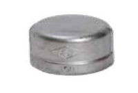 Picture of 3 inch class 150 316 Stainless Steel threaded caps