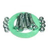 Picture of Non Asbestos Ring Gasket and Nut Bolt Kit for 3/4 inch ANSI class 300 flange