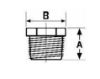 Picture of 2½ x 1-1/4 NPT Malleable Iron Reduction Bushings